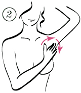 massage for breast enlargement - Place your left hand on your head and with the palm of your right hand, massage the armpit area in a circular motion.